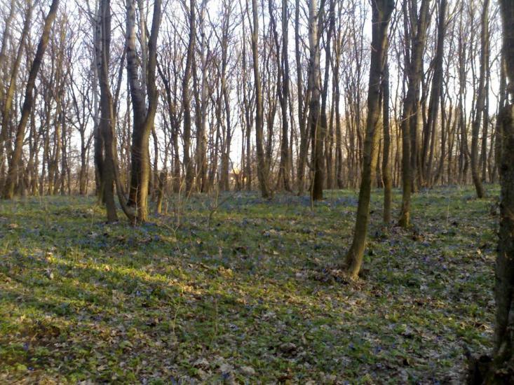 Решетилівка з panoramio.com - Решетиловка