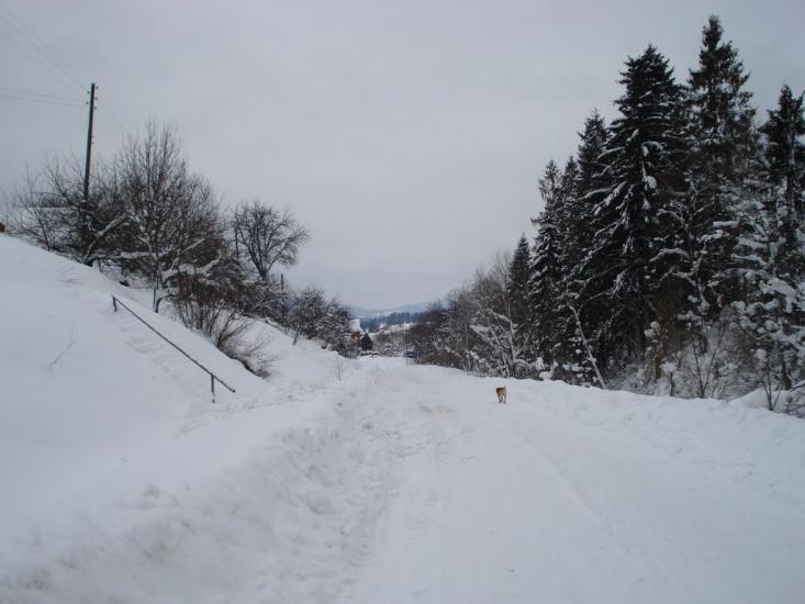 Погар з panoramio.com - Погар