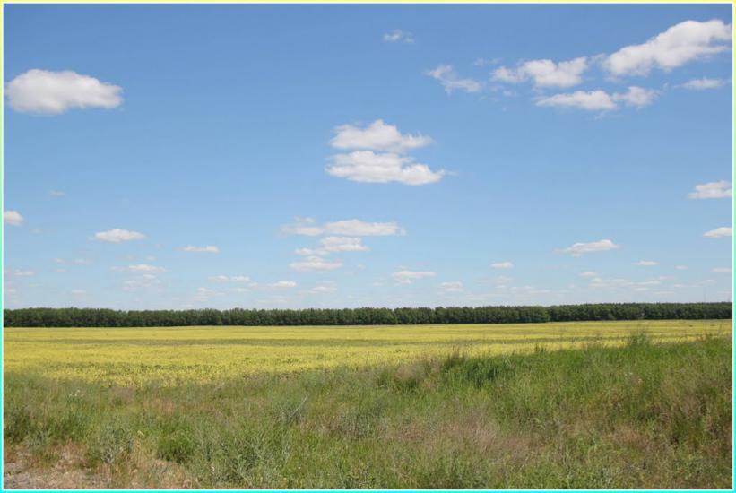 Масківці з panoramio.com - Масковцы