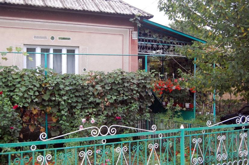Нижнє Солотвино з panoramio.com - Нижнее Солотвино