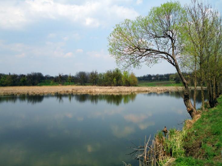 Нерубайка з panoramio.com - Нерубайка