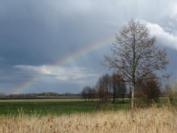 Красносілка з panoramio.com - Красносілка
