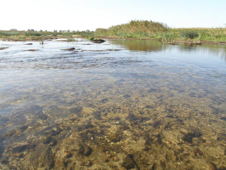Гупалівка з panoramio.com - Гупаловка