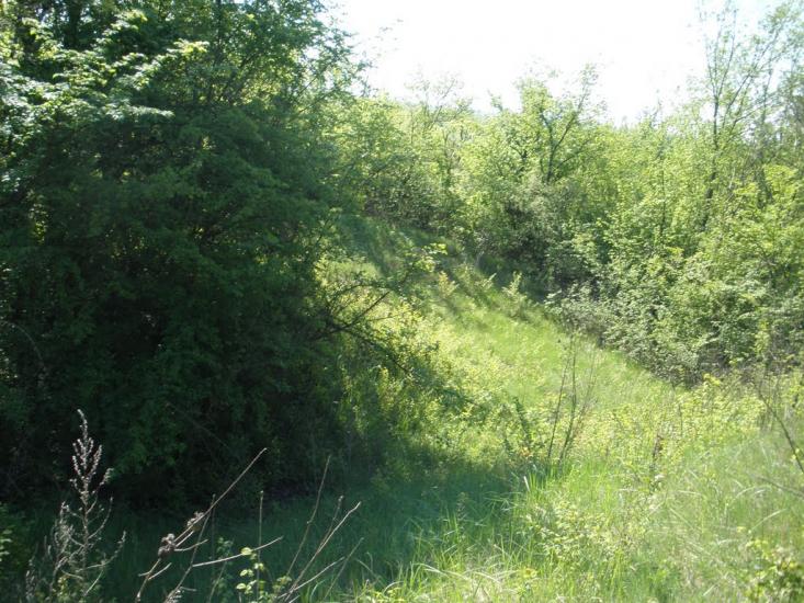 Нехвороща з panoramio.com - Нехвороща