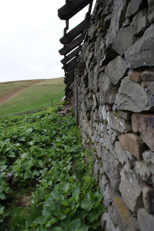 Білин з panoramio.com - Білин