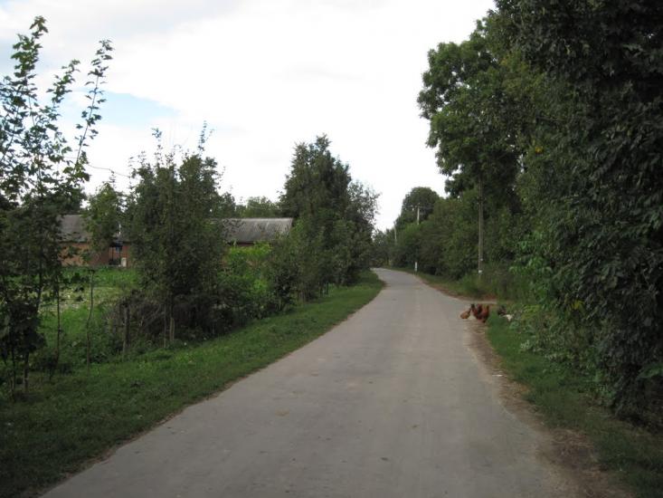 Галузинці з panoramio.com - Galuzyntsi