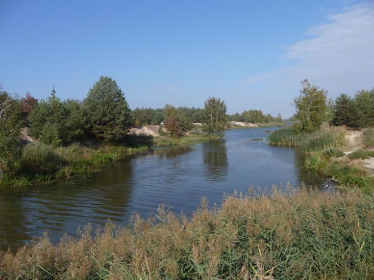Ровжі з panoramio.com - Ровжи