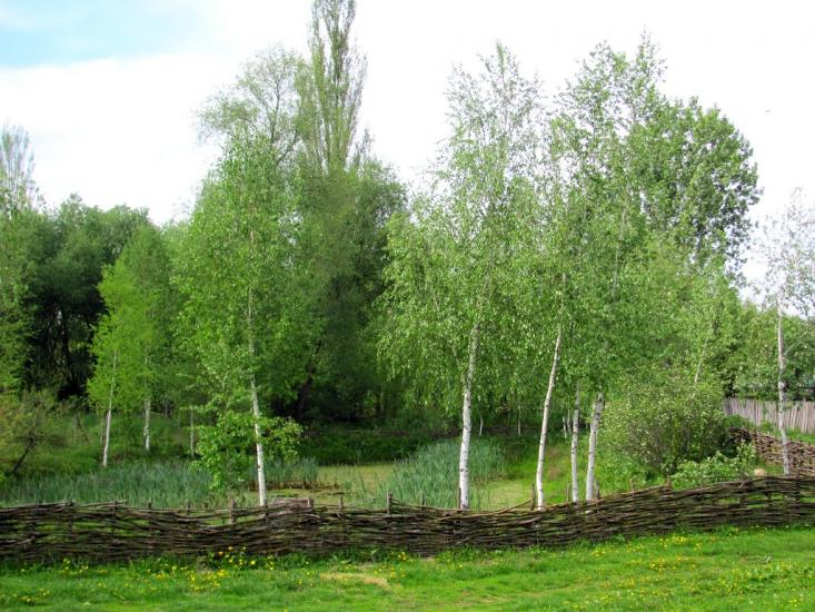 Сарни з panoramio.com - Сарни