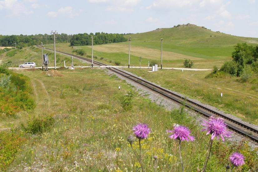 Вербка з panoramio.com - Вербка