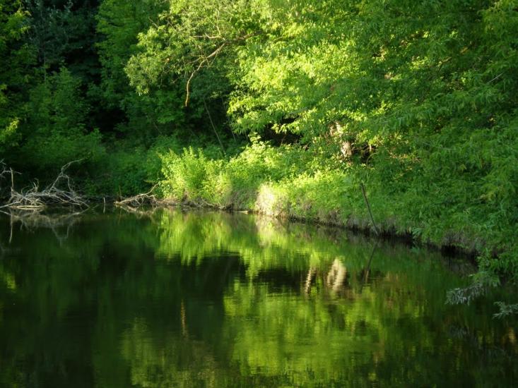 Клин з panoramio.com - Клин