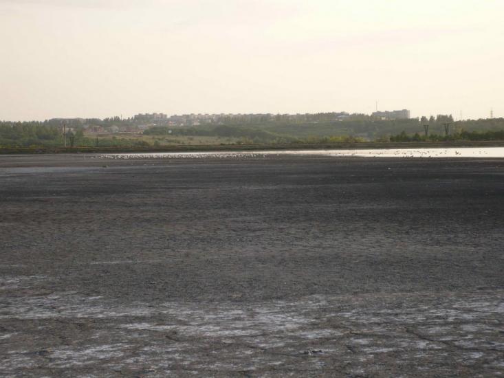 Ясинувата з panoramio.com - Ясинувата