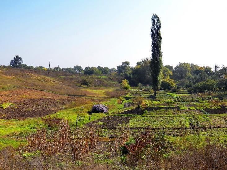 Кринична з panoramio.com - Криничная
