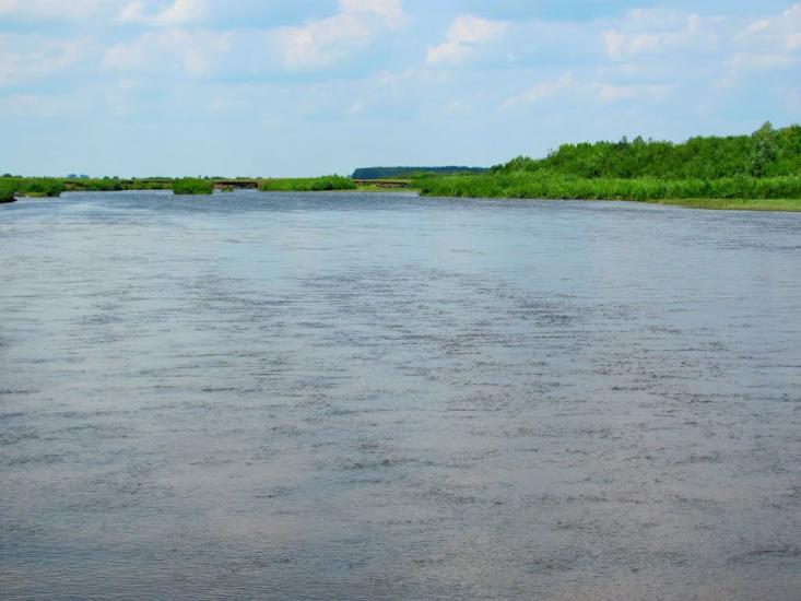 Хотин з panoramio.com - Хотин