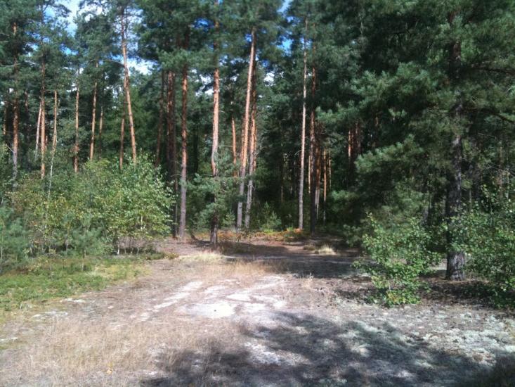 Волиця з panoramio.com - Волиця