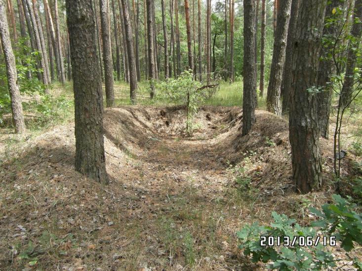 Стара Гнилиця з panoramio.com - Старая Гнилица