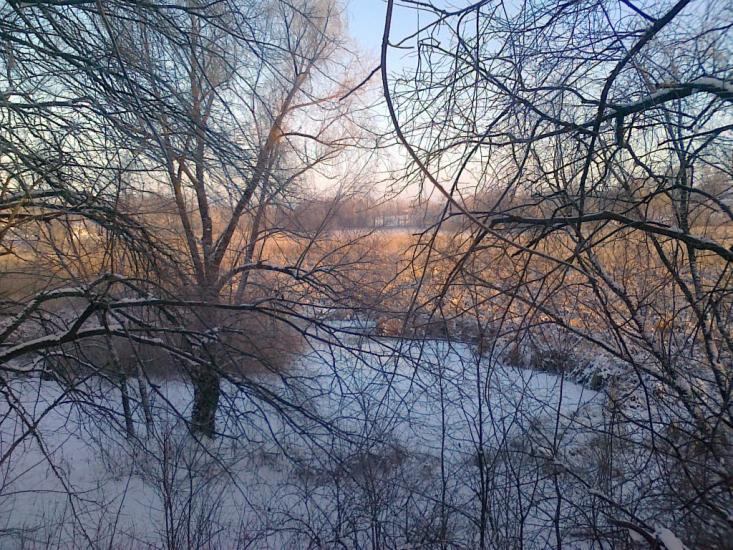 Великі Канівці з panoramio.com - Великие Каневцы