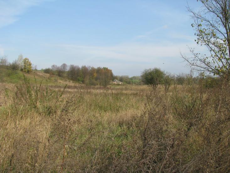 Дадакалівка з panoramio.com - Дадакаловка