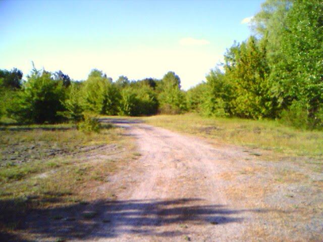 Остер з panoramio.com - Остер