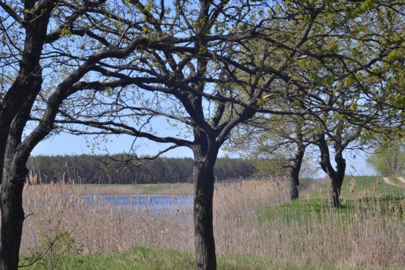 Йосипівка з panoramio.com - Йосипівка