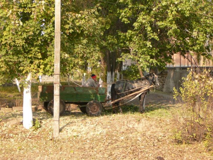 Силівка з panoramio.com - Силовка