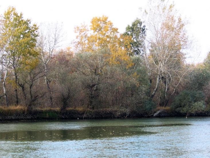 Яськи з panoramio.com - Jasky