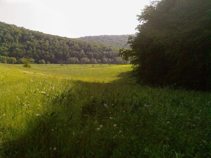 Кринцілів з panoramio.com - Кринцілів