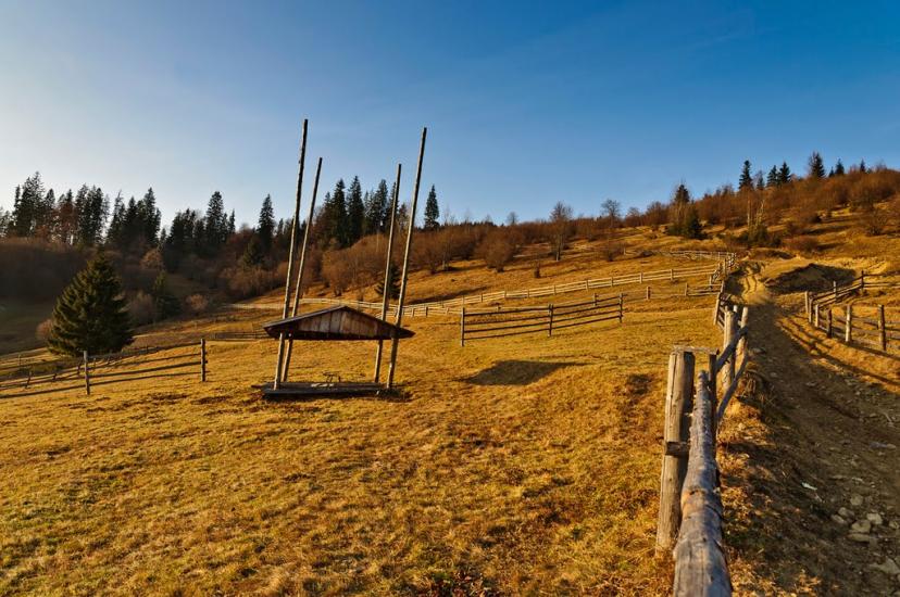 Чорна Тиса з panoramio.com - Черная Тиса