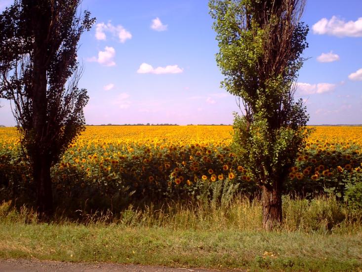 Софіївка з panoramio.com - Sofiyivka