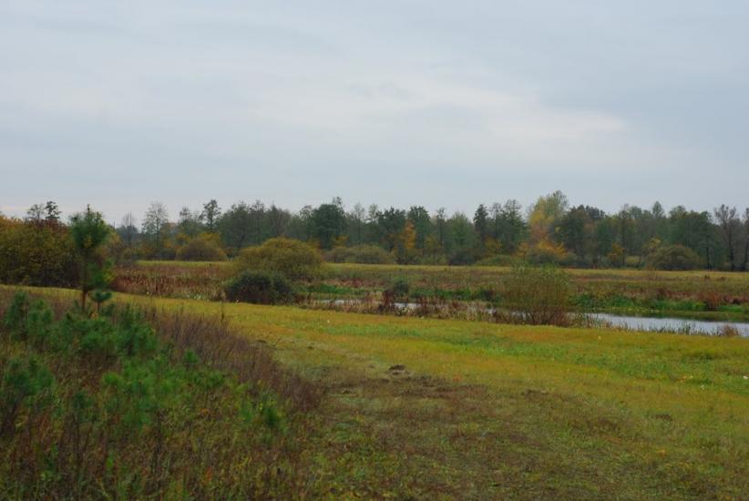Остапівка з panoramio.com - Остаповка