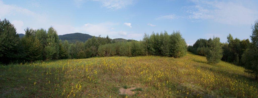 Княгиня з panoramio.com - Княгиня
