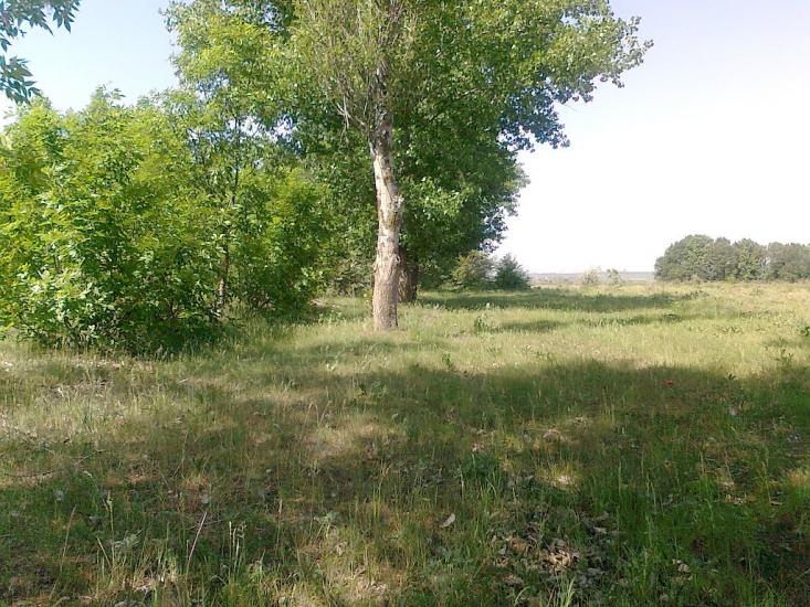 Кутузівка з panoramio.com - Кутузовка