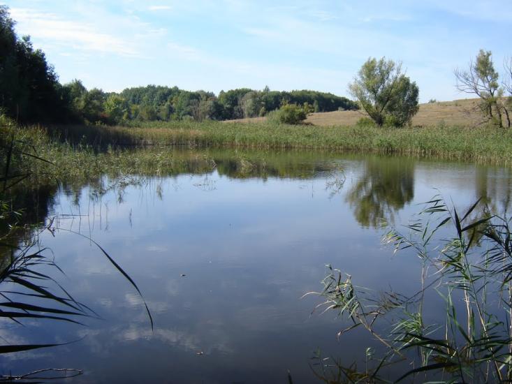 Кагарлик з panoramio.com - Кагарлык