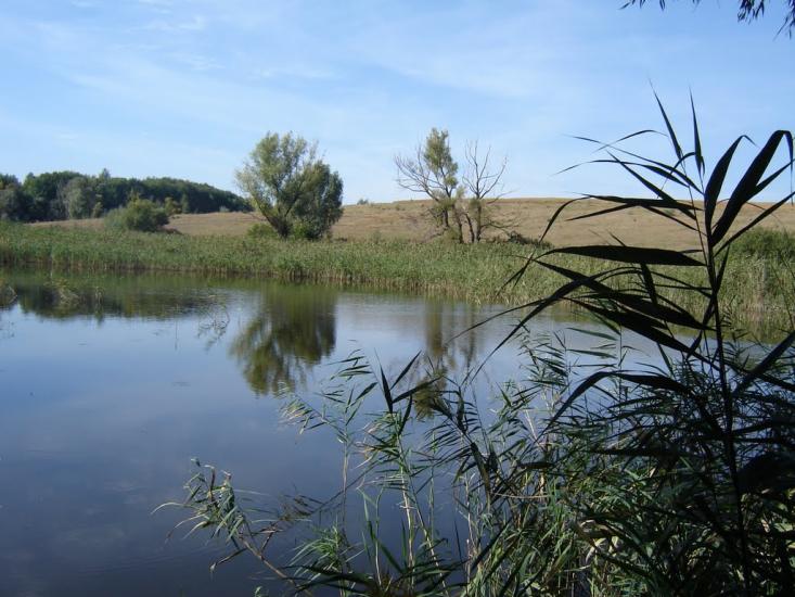 Кагарлик з panoramio.com - Кагарлык