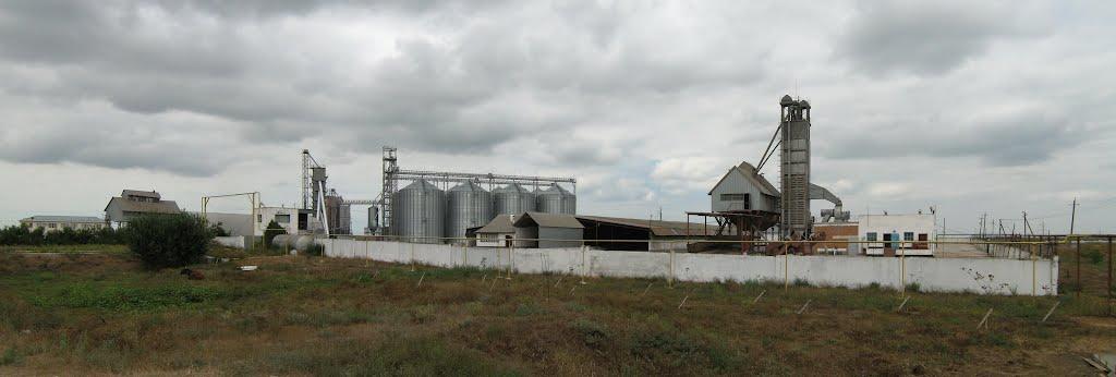 Воронцівка з panoramio.com - Воронцівка