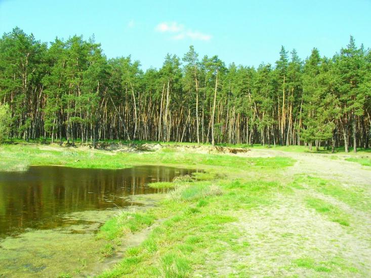 Хорішки з panoramio.com - Хорішки