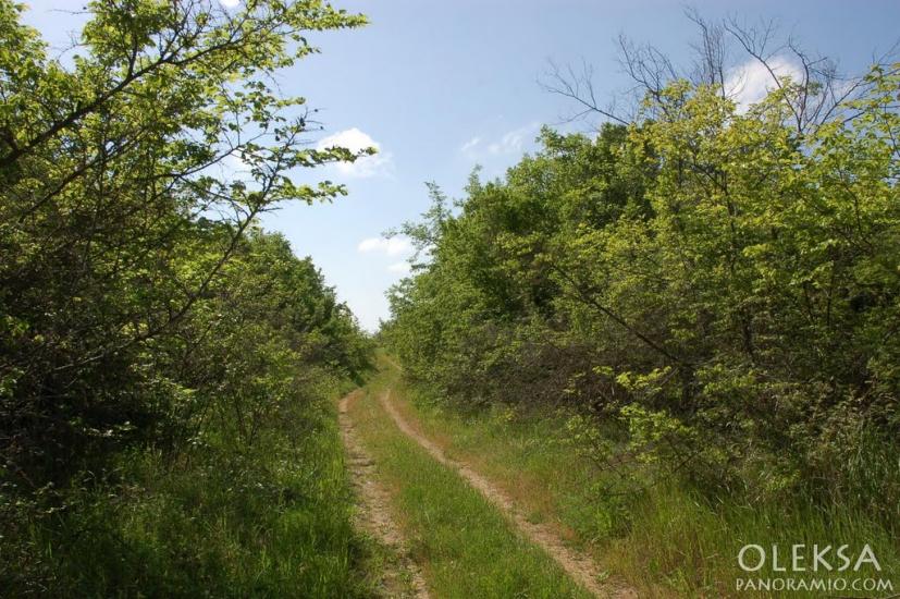 Долинне з panoramio.com - Долинне