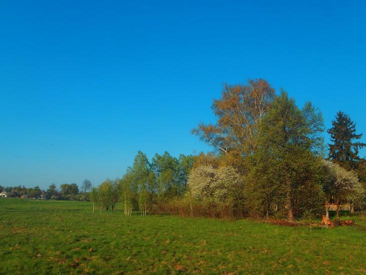 Городня з panoramio.com - Городня