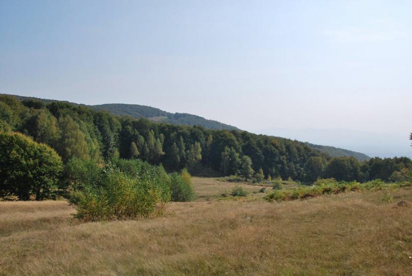 Ільниця з panoramio.com - Ільниця