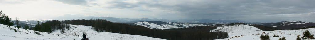 Скотарське з panoramio.com - Скотарське