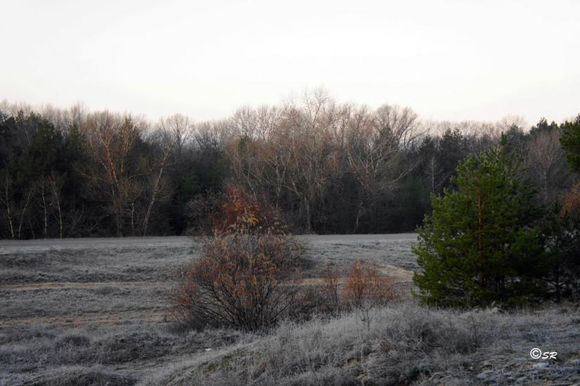 Шульгівка з panoramio.com - Шульговка