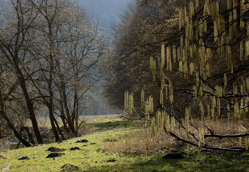 Кринцілів з panoramio.com - Кринцілів