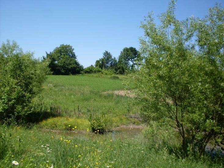 Шура-Бондурівська з panoramio.com - Шура-Бондурівська