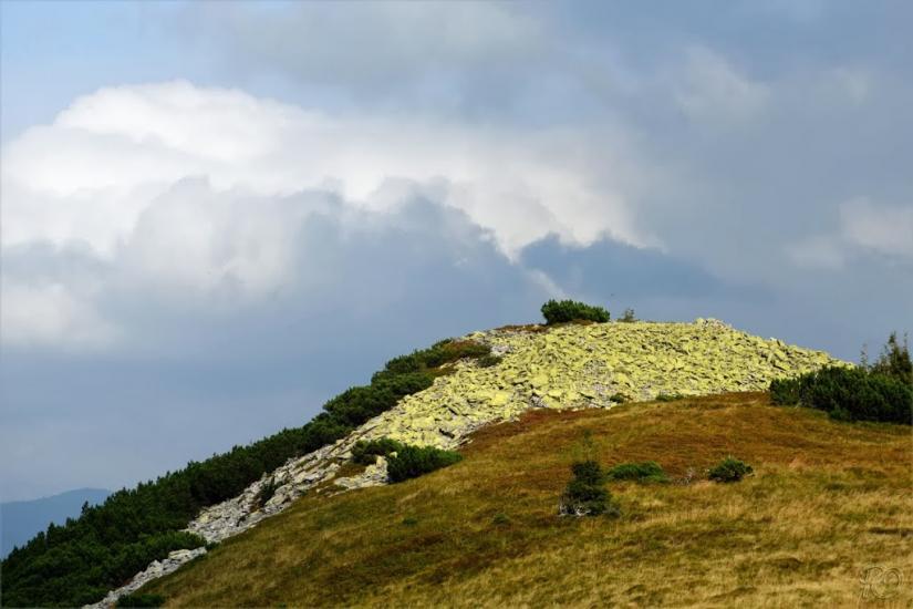 Береги з panoramio.com - Береги
