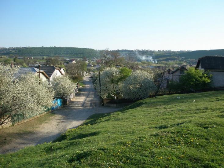Біла з panoramio.com - Біла
