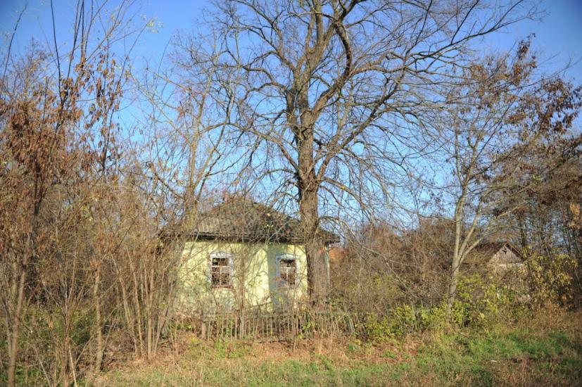 Нова Оржиця з panoramio.com - Новая Оржица