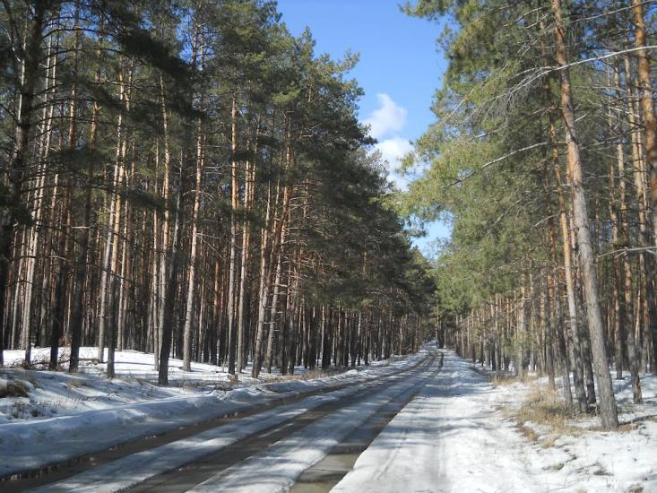 Проців з panoramio.com - Protsiv