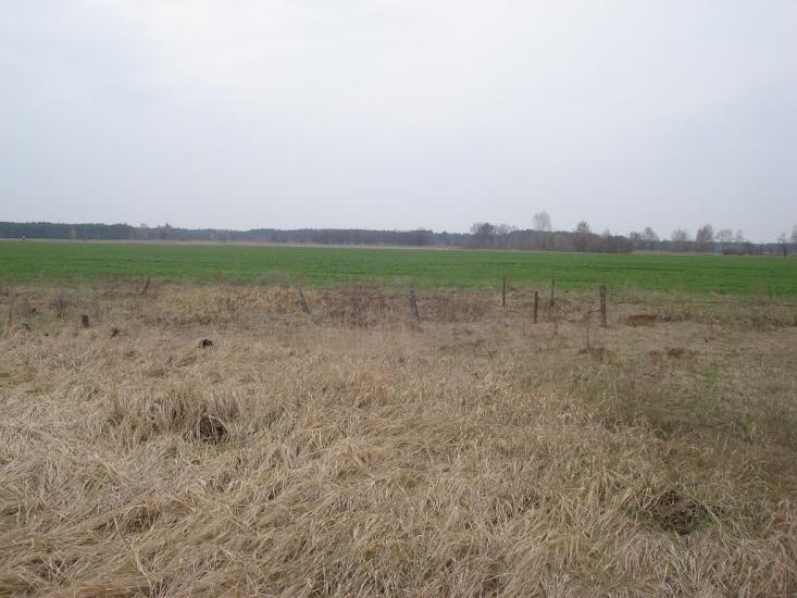 Ниговищі з panoramio.com - Ниговищі