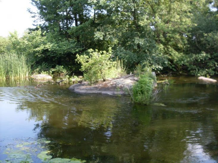 Четвертинівка з panoramio.com - Четвертиновка