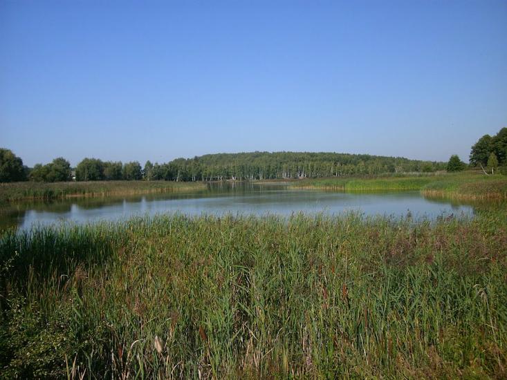 Марочкине з panoramio.com - Марочкино