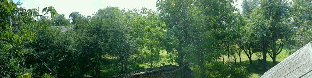 Березівка з panoramio.com - Березівка